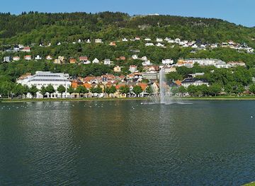 norway/hordaland/attraction/grinegutten