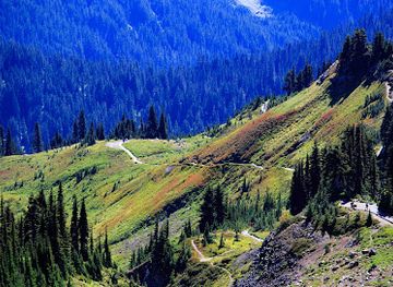 washington/mount-rainier-area/attraction/panorama-point-overlook