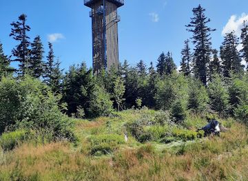 czechia/sumava/attraction/bikepark-spicak