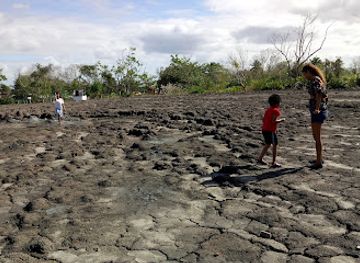 trinidad-and-tobago/caroni/attraction/devil-s-woodyard