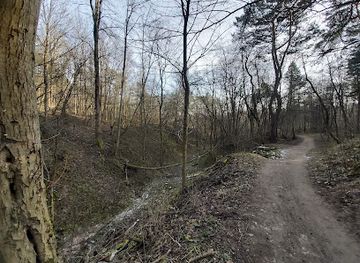 lithuania/vilnius-region/attraction/fabijoniskiu-forest-park