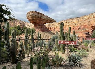 california/orange-county/attraction/radiator-springs-racers