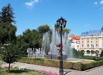 romania/satu-mare/attraction/art-museum