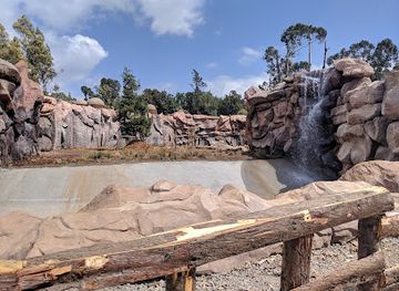 ethiopia/debre-libanos-monastery/attraction/black-lion-zoo-cave