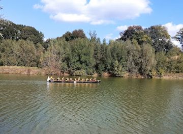 romania/teleorman/attraction/parc-padurea-vedea