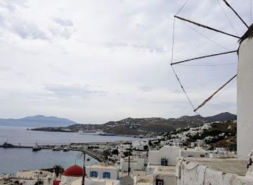 greece/mykonos/ornos/attraction/rarity-gallery