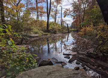 rhode-island/blackstone-valley/attraction/mass-audubon-s-broad-meadow-brook-conservation-center-and-wildlife-sanctuary
