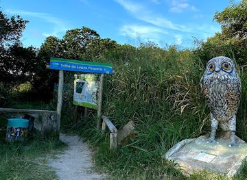 brazil/florianopolis/attraction/trilhas-da-lagoa-pequena