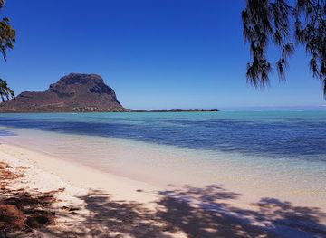 mauritius/le-morne/attraction/kissen-sealife-mauritius-dolphin-whale-expedition-excursion-dauphin-baleine