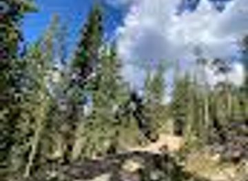 colorado/leadville/attraction/keystone-bike-park