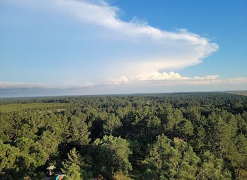 nebraska/sandhills/attraction/nebraska-national-forest