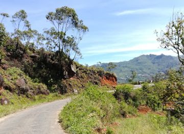 sri-lanka/uva-province/attraction/sherwood-deck