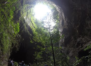 puerto-rico/camuy-river-cave-park/attraction/cavernas-del-rio-camuy-national-park