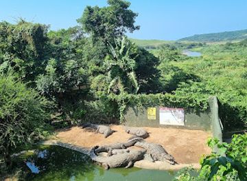 south-africa/wild-coast/attraction/crocodile-creek