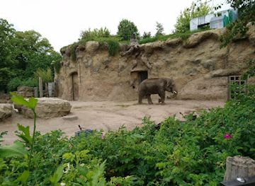 germany/heidelberg/attraction/heidelberg-zoo