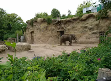 Heidelberg Zoo