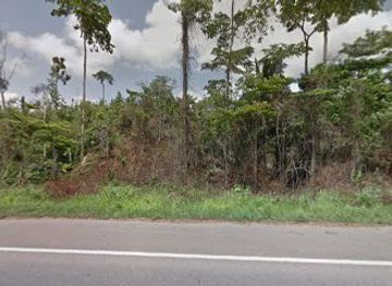 ghana/ahafo-region/attraction/opro-forest-reserve