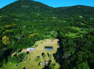 Bosque Alpes