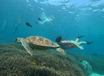indonesia/gili-islands/attraction/turtle-city-dive-site