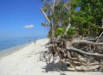 maldives/haa-alif-atoll/attraction/baarah