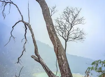 Mount Patuha