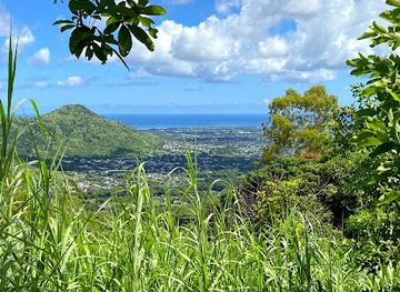 mauritius/plaines-wilhems/attraction/vallee-des-pretres-viewpoint