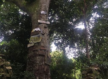 uganda/ssese-islands/attraction/john-speke-s-fort