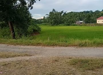 india/kaziranga-national-park/attraction/selfie-point