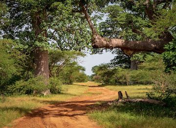 senegal/kedougou/attraction/bandia-reserve