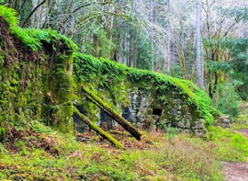 california/muir-woods-national-monument/attraction/andy-goldsworthy-s-wood-line