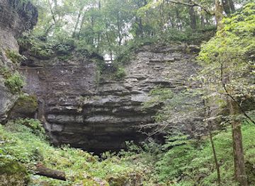 iowa/driftless-area/attraction/dutton-cave-co-park