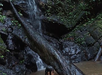malaysia/taman-negara-national-park/attraction/air-terjun-lata-gemuruh