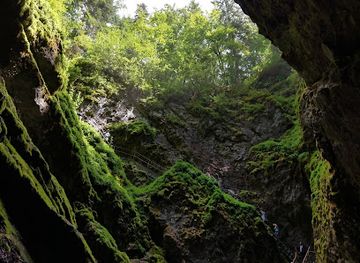 romania/apuseni-mountains/attraction/sesuri-pothole