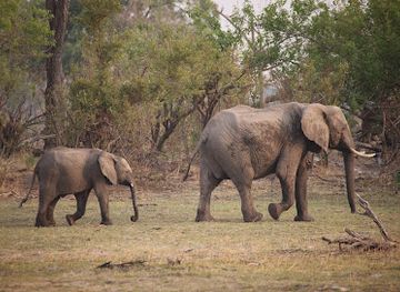 botswana/kweneng-district/attraction/ng-30-non-consumptive-concession