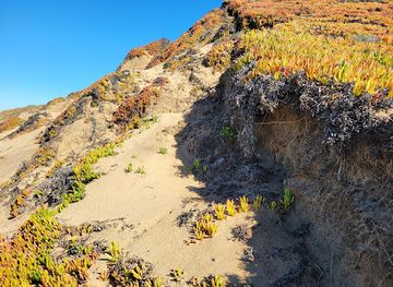 california/salinas-valley/attraction/marina-state-beach