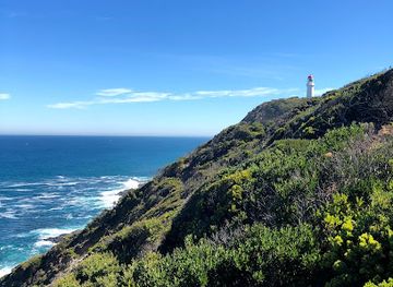 australia/mornington-peninsula/attraction/angel-cave