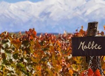 argentina/mendoza/attraction/trivento