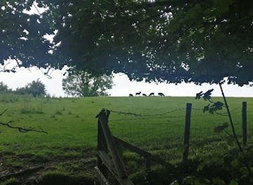 isle-of-man/kirk-michael/attraction/bishopscourt-glen