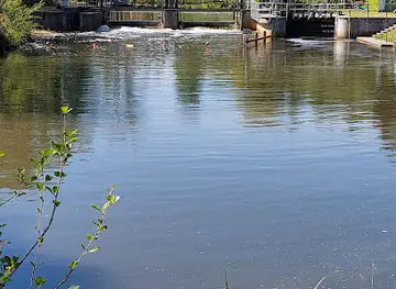 Spreewald Biosphere Reserve