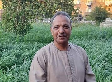 egypt/sohag/attraction/sh-olad-shahin