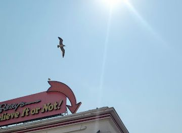 maryland/ocean-city/attraction/ripley-s-marvelous-mirror-maze