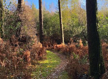 ireland/county-carlow/attraction/deerpark-mountain-biking-and-hiking-trails