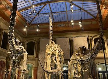 germany/berlin/attraction/museum-fur-naturkunde