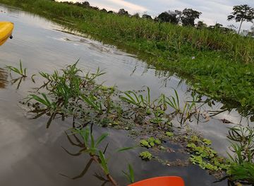 colombia/leticia/attraction/yahuarkaka-lakes