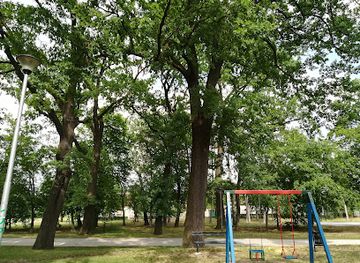 serbia/palic-lake/attraction/spomenik-prirode-stabla-hrasta-luznjaka