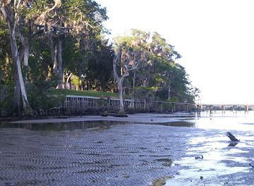 florida/first-coast/attraction/alpine-groves-park