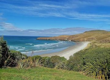 new-zealand/dunedin/attraction/the-opera-otago-peninsula-eco-restoration-alliance