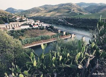 portugal/lamego/attraction/foz-do-tua