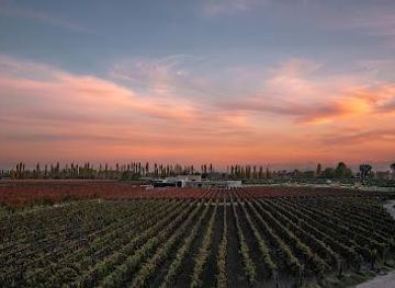 argentina/mendoza/attraction/durigutti-family-winemakers-finca-victoria-10-worl-ds-best-vineyards-2024