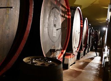 italy/langhe/attraction/roberto-sarotto-winery